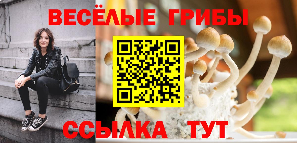 Псилоцибиновые грибы Psilocybine cubensis  Галлюциногенные грибы Psilocybe  Вход с VPN  где можно купить   Кондопога 