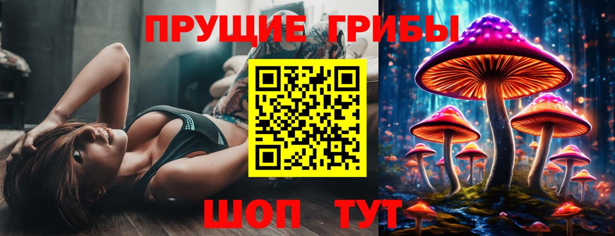 Псилоцибиновые грибы прущие грибы Кондопога